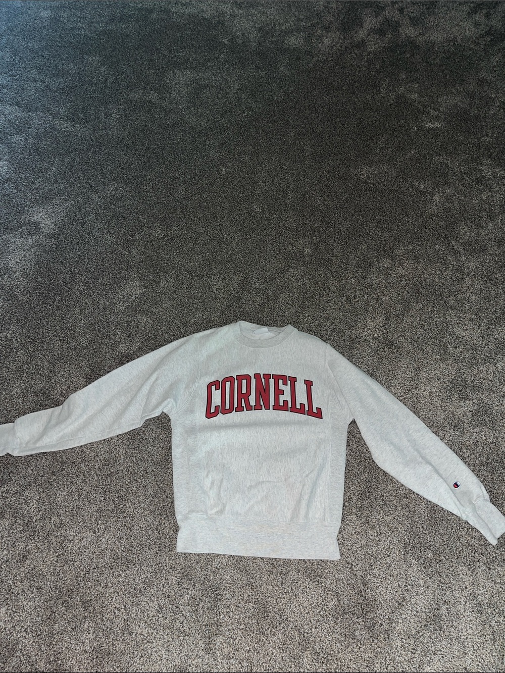 Cornell University Champion Crewneck Sweatshirt Vintage